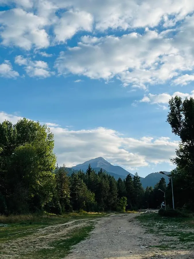 Bansko Royal Towers - Studio 856
